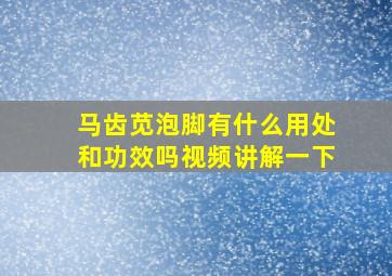 马齿苋泡脚有什么用处和功效吗视频讲解一下