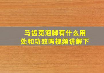 马齿苋泡脚有什么用处和功效吗视频讲解下