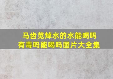 马齿苋焯水的水能喝吗有毒吗能喝吗图片大全集