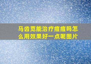 马齿苋能治疗痘痘吗怎么用效果好一点呢图片