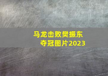 马龙击败樊振东夺冠图片2023