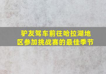 驴友驾车前往哈拉湖地区参加挑战赛的最佳季节