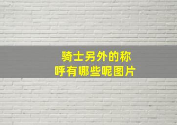 骑士另外的称呼有哪些呢图片