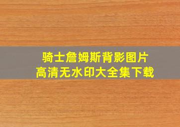 骑士詹姆斯背影图片高清无水印大全集下载