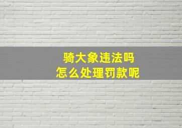 骑大象违法吗怎么处理罚款呢