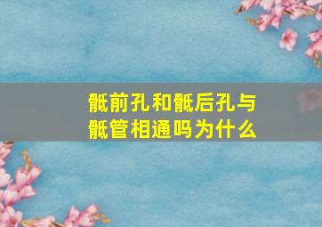 骶前孔和骶后孔与骶管相通吗为什么