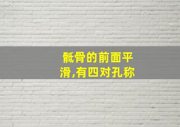 骶骨的前面平滑,有四对孔称