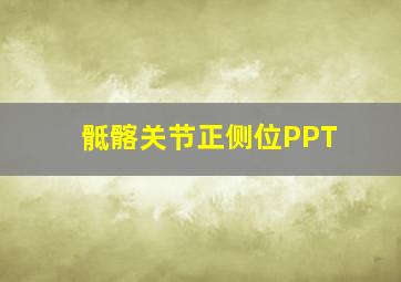 骶髂关节正侧位PPT