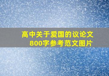 高中关于爱国的议论文800字参考范文图片