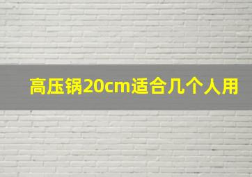 高压锅20cm适合几个人用