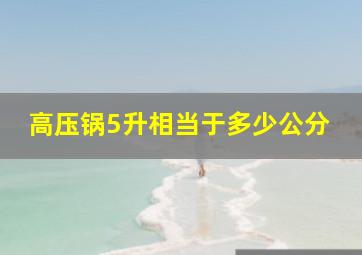 高压锅5升相当于多少公分