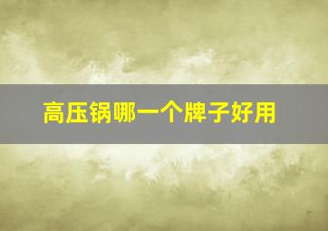 高压锅哪一个牌子好用