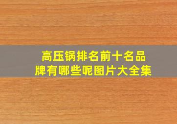 高压锅排名前十名品牌有哪些呢图片大全集