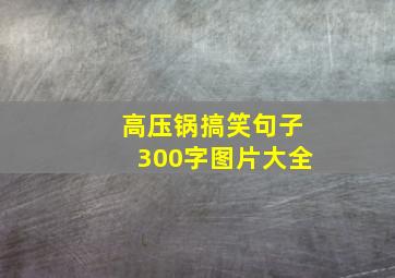 高压锅搞笑句子300字图片大全