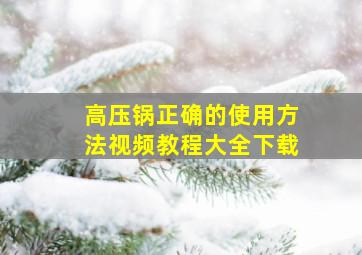 高压锅正确的使用方法视频教程大全下载