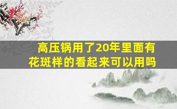 高压锅用了20年里面有花斑样的看起来可以用吗