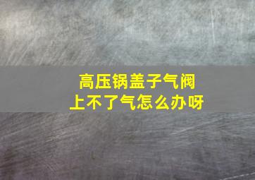 高压锅盖子气阀上不了气怎么办呀