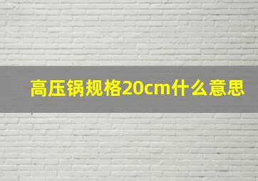 高压锅规格20cm什么意思