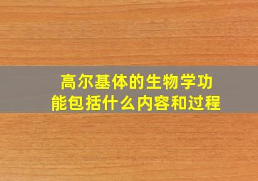 高尔基体的生物学功能包括什么内容和过程