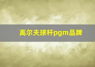 高尔夫球杆pgm品牌