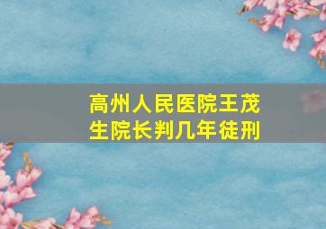 高州人民医院王茂生院长判几年徒刑