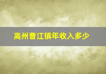 高州曹江镇年收入多少