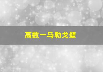 高数一马勒戈壁