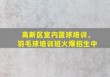 高新区室内篮球培训、羽毛球培训班火爆招生中