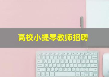 高校小提琴教师招聘