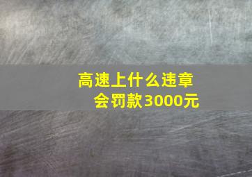 高速上什么违章会罚款3000元