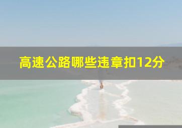 高速公路哪些违章扣12分