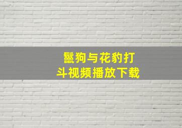 鬣狗与花豹打斗视频播放下载