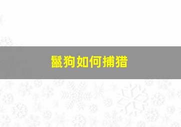 鬣狗如何捕猎