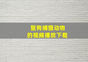 鬣狗捕猎动物的视频播放下载