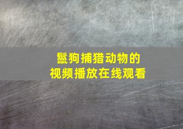 鬣狗捕猎动物的视频播放在线观看