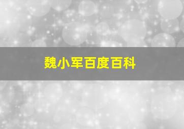 魏小军百度百科