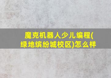 魔克机器人少儿编程(绿地缤纷城校区)怎么样