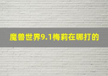 魔兽世界9.1梅莉在哪打的