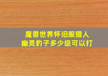 魔兽世界怀旧服猎人幽灵豹子多少级可以打