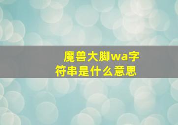 魔兽大脚wa字符串是什么意思