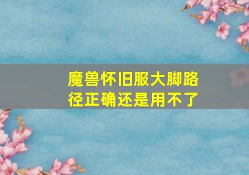 魔兽怀旧服大脚路径正确还是用不了