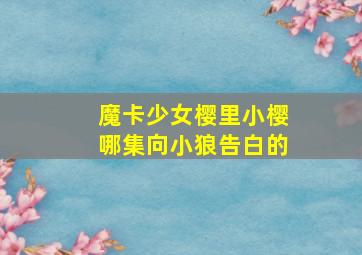 魔卡少女樱里小樱哪集向小狼告白的