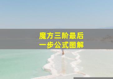 魔方三阶最后一步公式图解