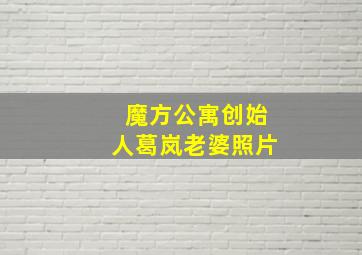 魔方公寓创始人葛岚老婆照片