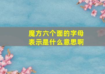 魔方六个面的字母表示是什么意思啊