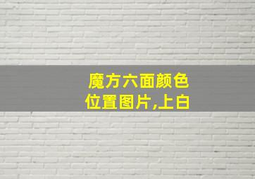 魔方六面颜色位置图片,上白