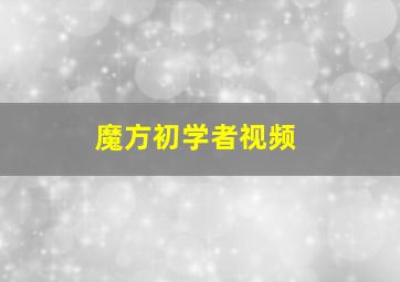 魔方初学者视频