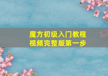 魔方初级入门教程视频完整版第一步