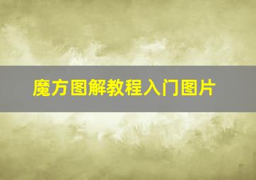 魔方图解教程入门图片