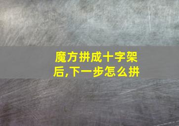 魔方拼成十字架后,下一步怎么拼